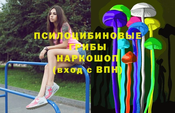 эйфоретик Алексин