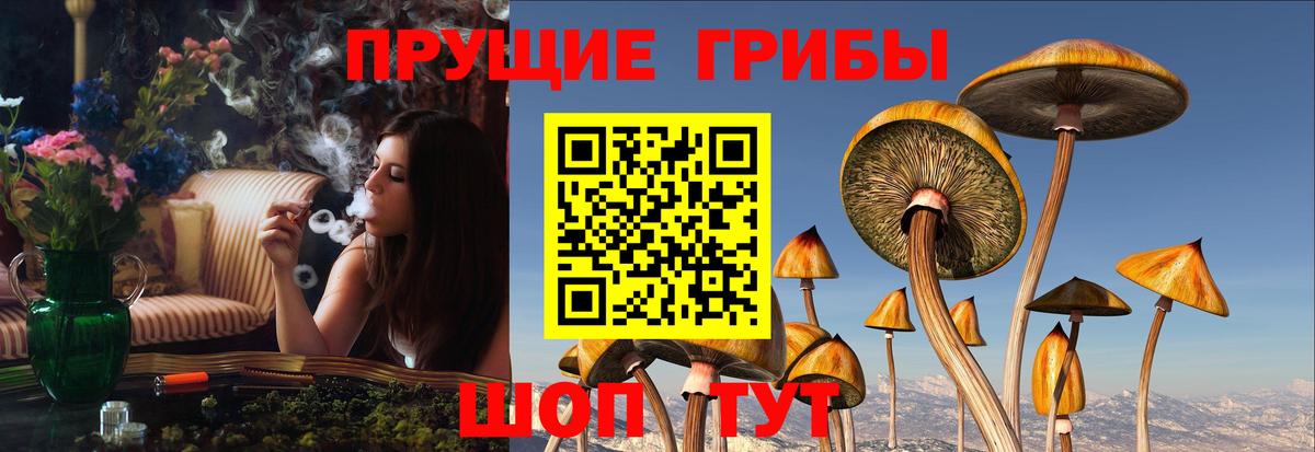 Псилоцибиновые грибы MAGIC MUSHROOMS Тейково