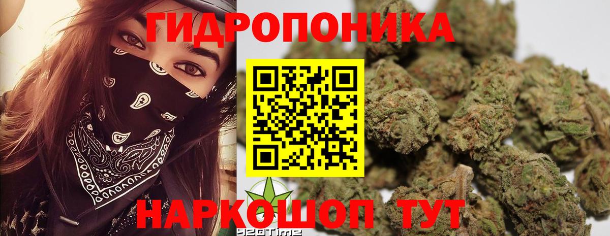 Бошки марихуана планчик  Вход с VPN  Тейково  Марихуана план 